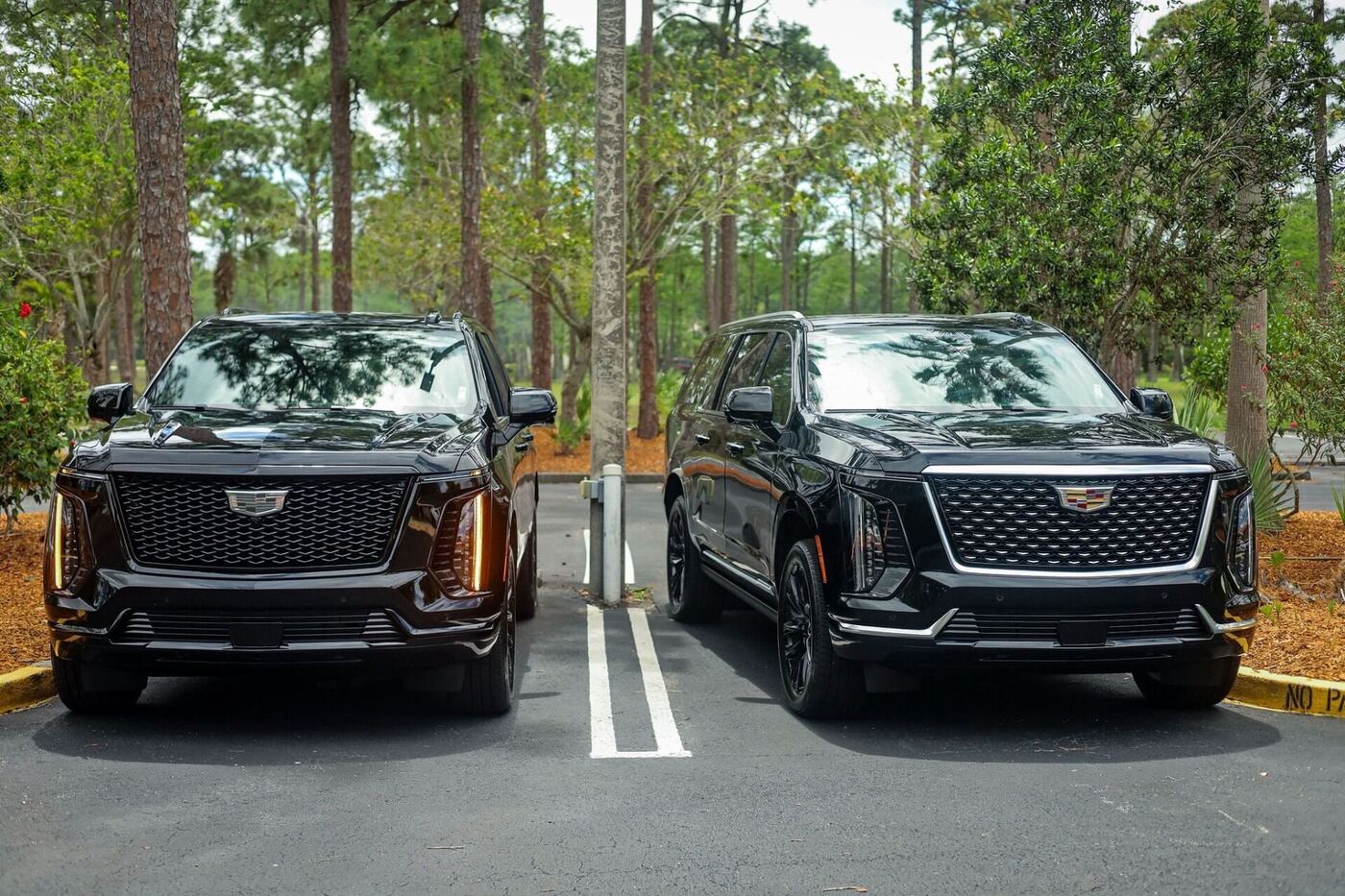Two black Cadillac Escalade ESVs parked side by side in Florida